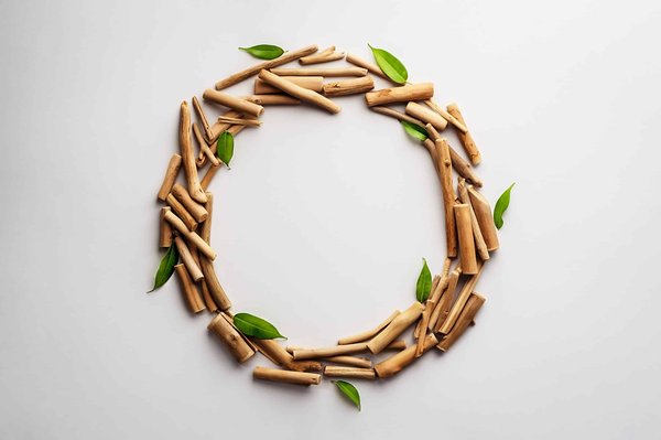 Initiatives mondiales pour la conservation des espèces