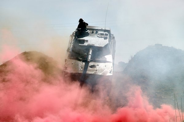 Comment les éléphants reconnaissent-ils les membres de leur famille après de nombreuses années ?